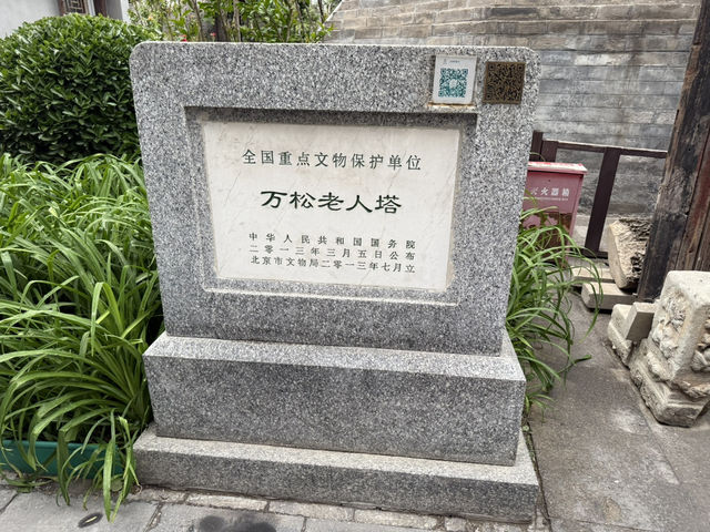 ✨帝都文青新據點！正陽書局古籍堆裡挖出老北京靈魂✨  