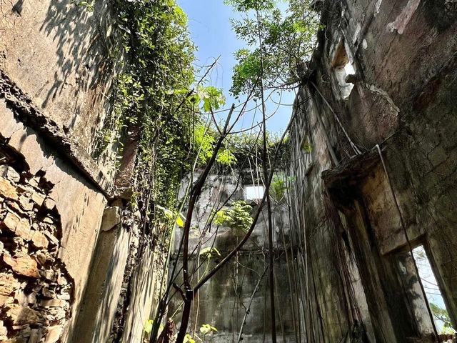 🗺️**郊遊好去處：探索東平洲**🗺️