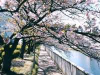 Tokyo – A City of Infinite Layers