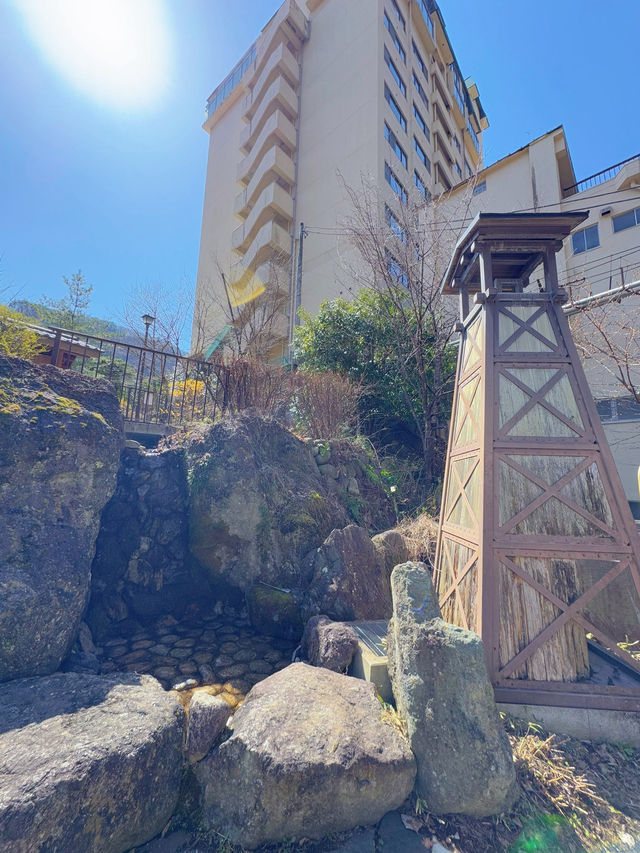 【栃木】鬼怒川温泉だけじゃない!!超穴場癒されスポット