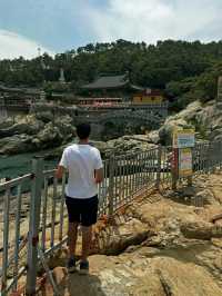 Busan: Ocean Breeze, Mountain Calm, and a Dash of City Pulse