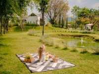 Trio Farm cafe