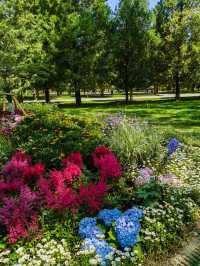 🌼 Tiantan Flower Border – Picture-perfect with every snap! 📸✨