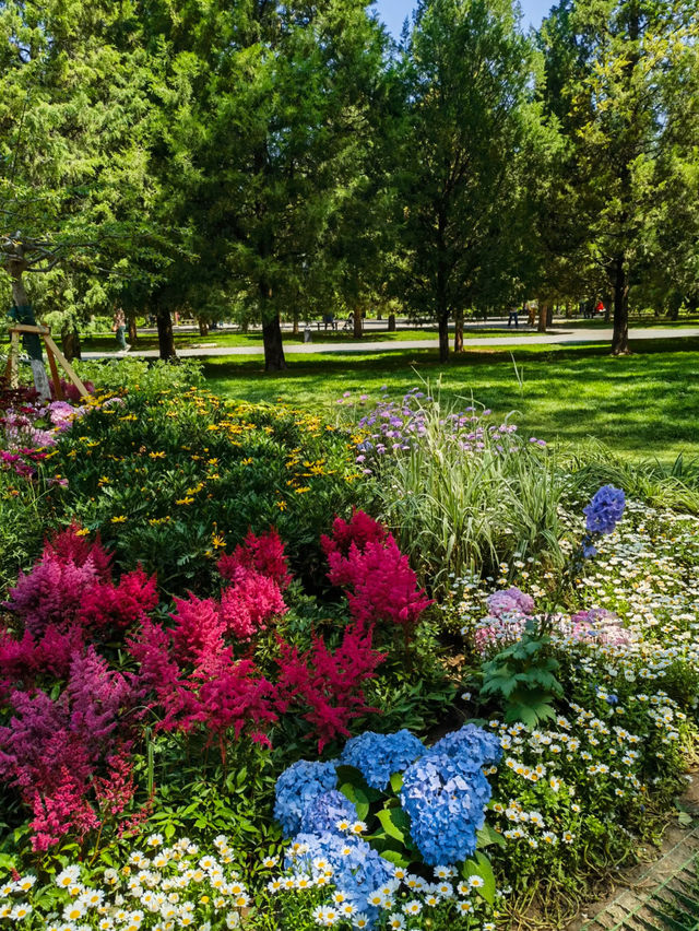 🌼 Tiantan Flower Border – Picture-perfect with every snap! 📸✨