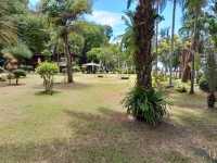 สวนพฤกษศาสตร์บ้านเพ