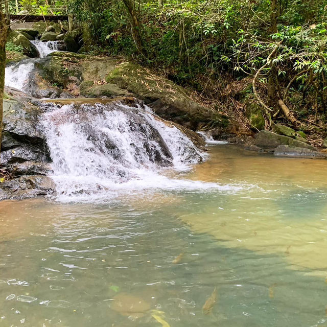 อุทยานแห่งชาติเขาคิชฌกูฏ จันทบุรี