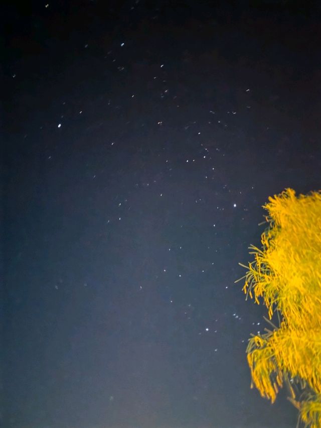 墨爾本+莫靈頓半島一日遊行程