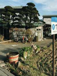 東京｜交通攻略｜富士山周邊旅遊路線