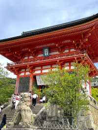 【京都】錦市場と清水寺でおなかも心も満たされよう✨🌸