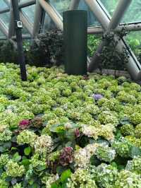 Flora Exhibition Hall นิทรรศน์พรรณพฤกษา
