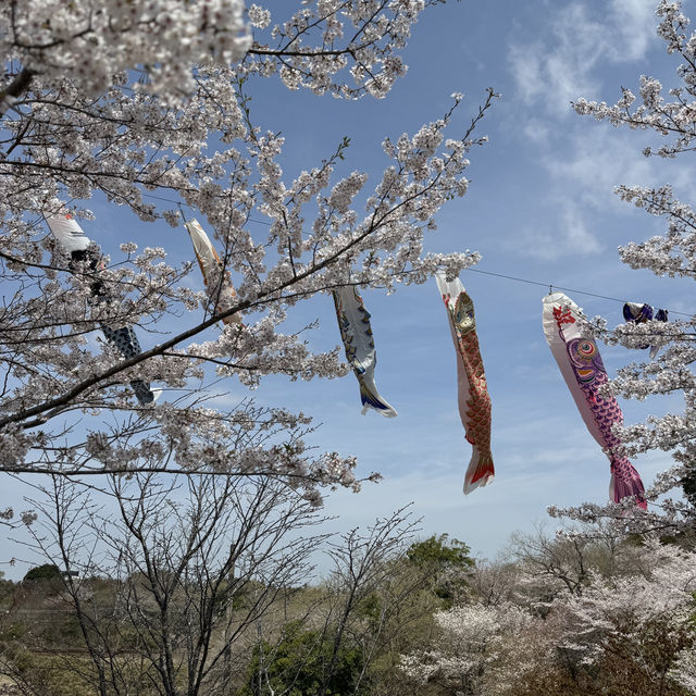 桜の時期は特に圧巻！