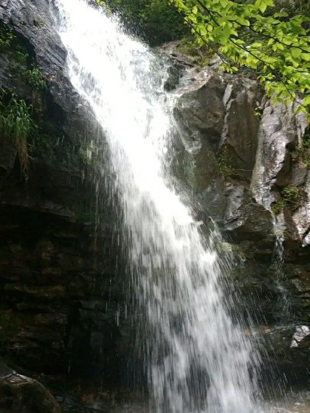 Waterfalls & Woods: Hiking the Walls of Jericho Trail, Alabama