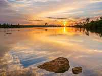 Hiking the River of Grass: Trails Through the Everglades