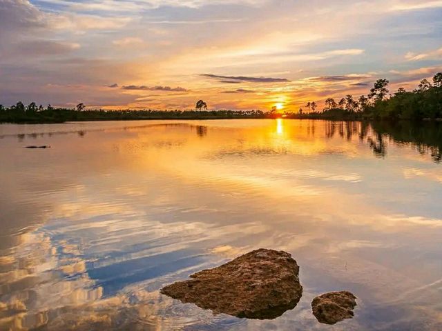 Hiking the River of Grass: Trails Through the Everglades