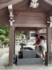 A Peaceful Escape to Minoh park.
