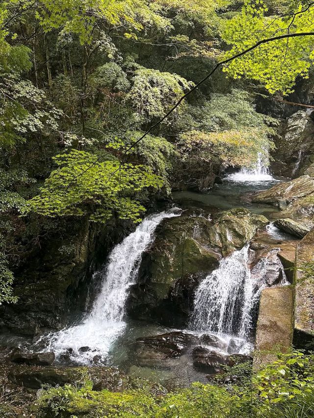Nature Thrills