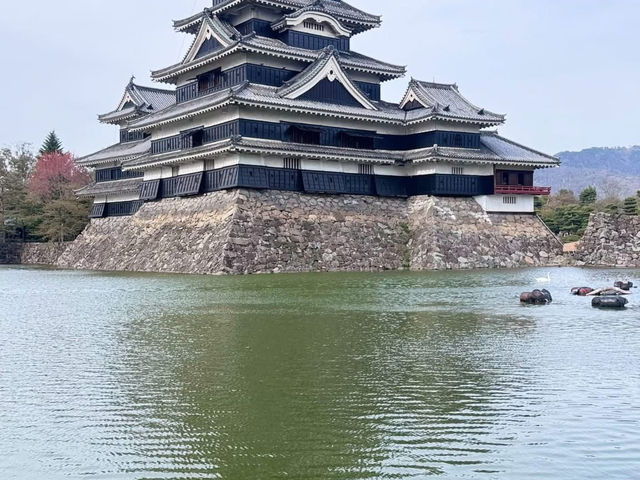 Castles, culture, and charm — discoverin