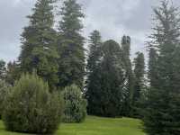 Beautiful Adelaide botanical garden