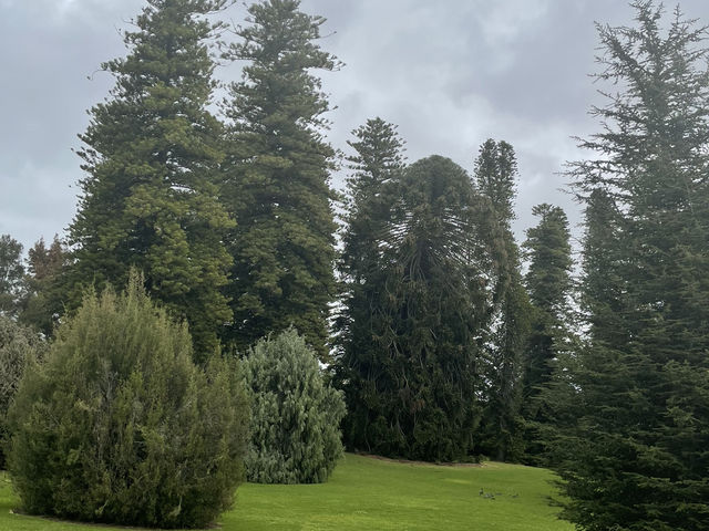 Beautiful Adelaide botanical garden