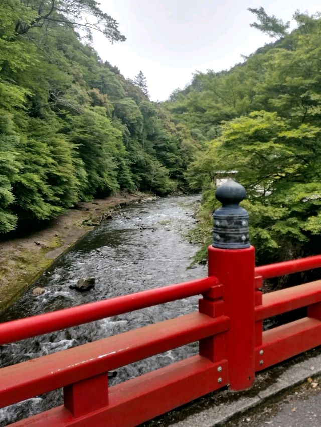 Jingo-ji Temple Is a Whole Vibe