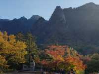 설악산과 강원도 바다