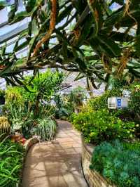 Allan Gardens Conservatory – Toronto’s Historic Green Oasis