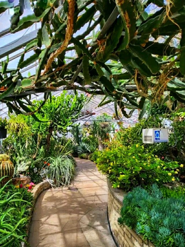 Allan Gardens Conservatory – Toronto’s Historic Green Oasis