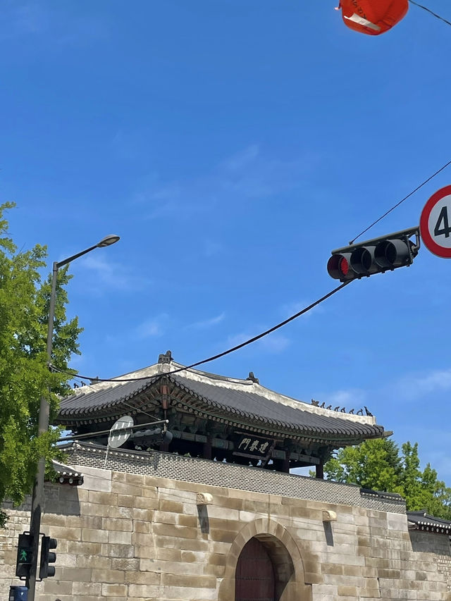 🌿 부산이든, 서울이든