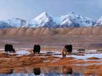 Mujie Crater: Xinjiang’s Volcanic Secret