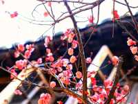 #ReflectionsOfFengjing – A Moment in Fengjing Ancient Town