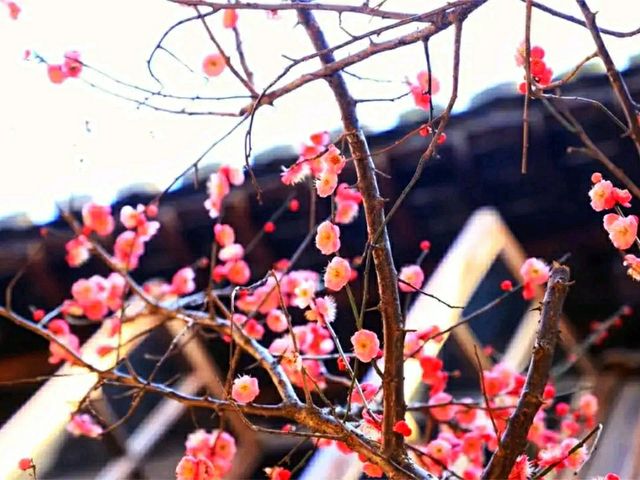 #ReflectionsOfFengjing – A Moment in Fengjing Ancient Town