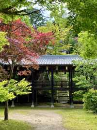 A Peaceful Day Strolling in Nagaokakyo
