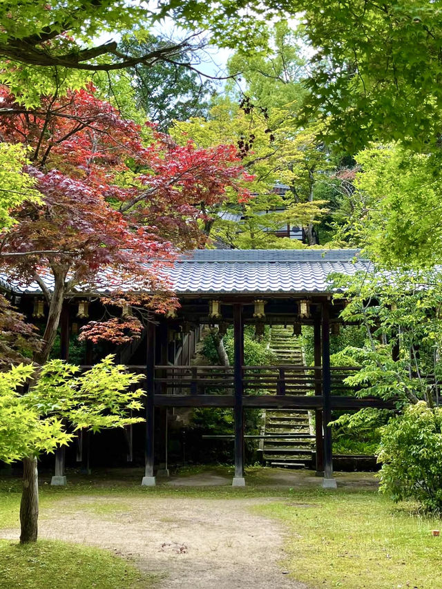 A Peaceful Day Strolling in Nagaokakyo
