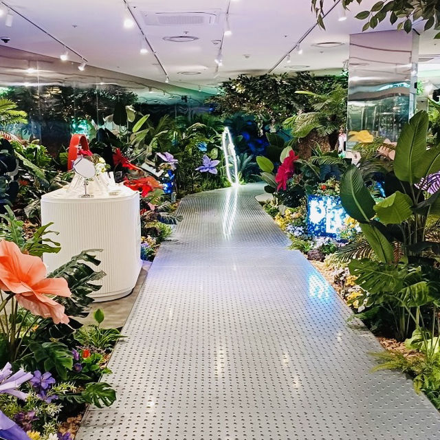 Explore Dongdaemun Design Plaza (DDP) Like a Pro