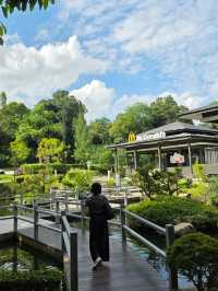 McDo Meets Tranquility: A Bite at Ridout Tea Garden, Singapore