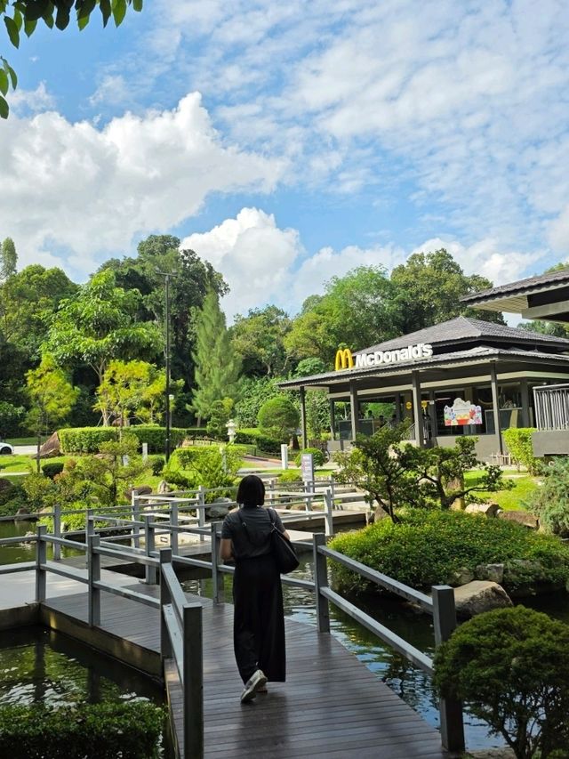 McDo Meets Tranquility: A Bite at Ridout Tea Garden, Singapore