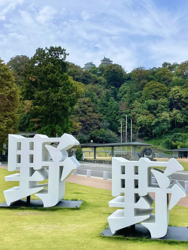 A Peaceful Day in Echizen Ono 🌸🕰️