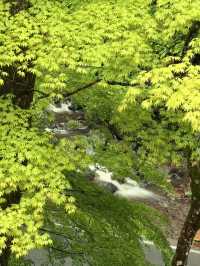 京都｜到貴船神社抽水籤 春有綠意秋楓紅 感受京都絕美詩意