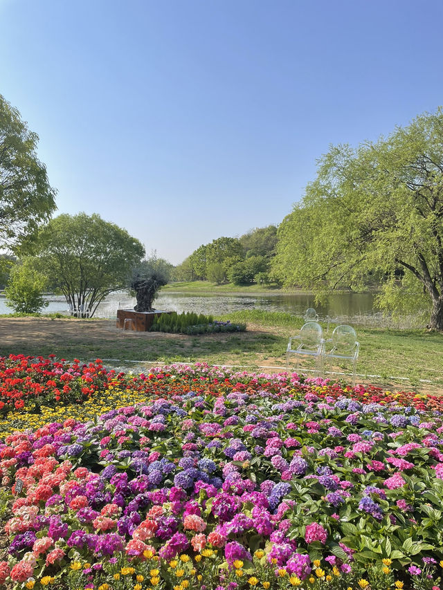고양:: 봄 여행으로 빠질 수 없는 고양 꽃박람회🌷