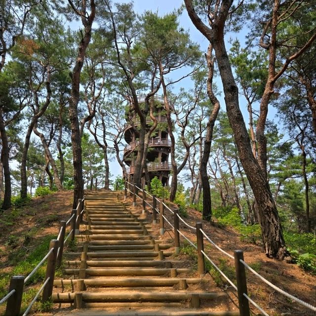 Cheongnamdae Was Kinda Fancy, Kinda Chill