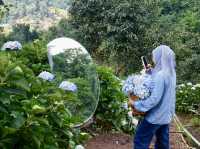 Bucket of Blooms, Boots On & Camera Ready at KUV NIAM HYDRENYA
