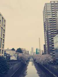東京目黑購物攻略｜文藝與在地特色的伴手禮精選