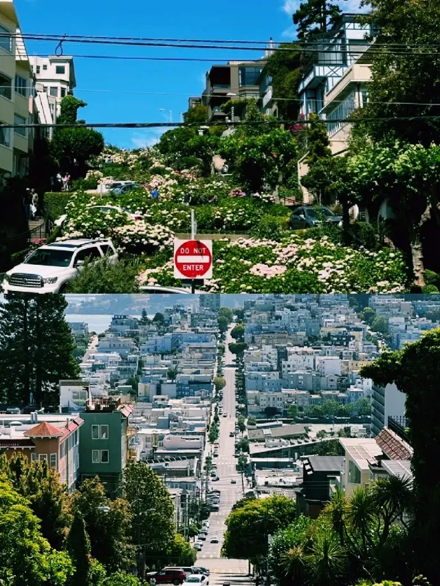 舊金山兩天一夜，結合山丘與藝術的城市漫步