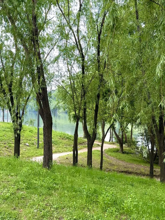 除了有名的汝矣島漢江公園，推薦隱藏版的漢江景點