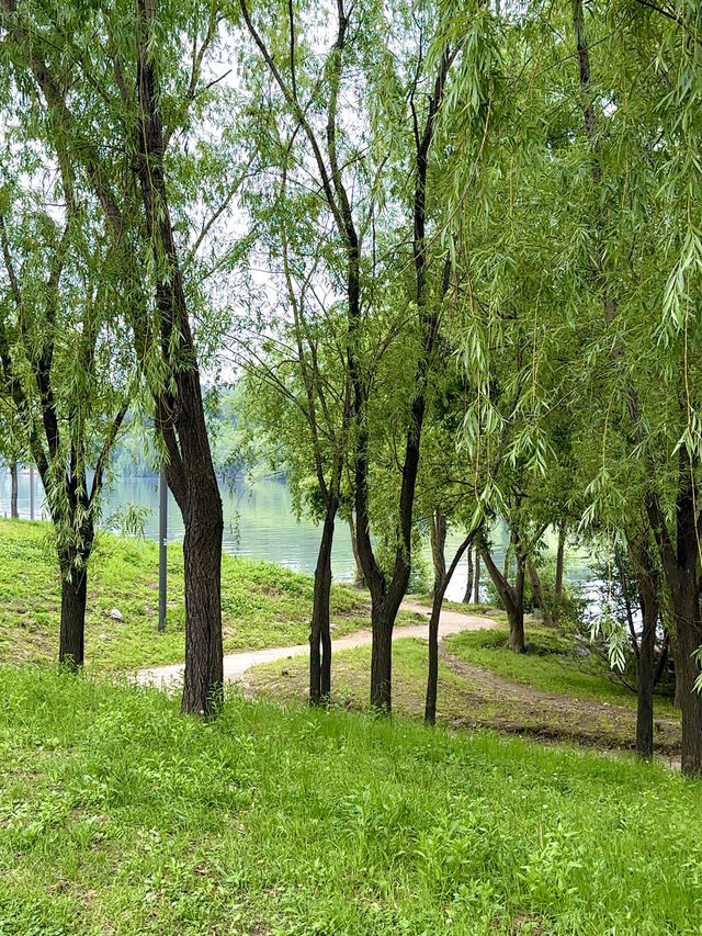 소문난 여의도한강공원 말고, 숨겨진 한강 스팟 추천🌿