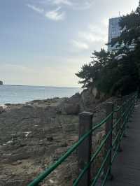 🏖️ 가족과 함께 즐거운 추억을, 천리포해수욕장 