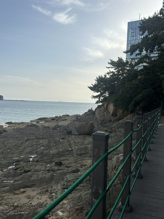 🏖️ 가족과 함께 즐거운 추억을, 천리포해수욕장 