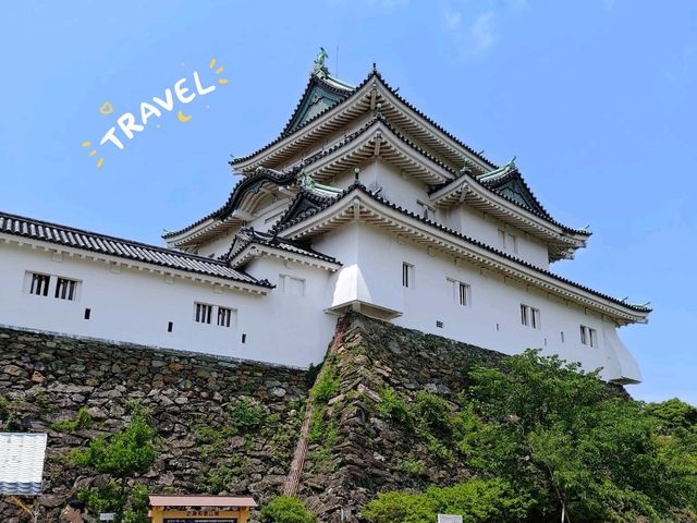 和歌山景點｜日本百大名城之一，歷史與景觀結合唯一的優雅之城—和歌山城