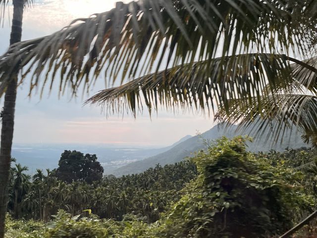 ☁️⛰️No Crowds, Just Clouds: A Quiet Getaway to Jianfengling