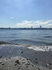 【猿島】都会から行ける魅惑の無人島🏝️